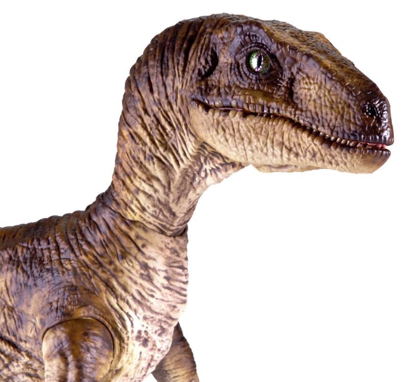 Jurassic Park Velociraptor 1/6 Scale Figure Gallery Image 10