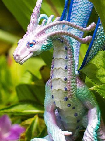 Dragon Collection Fairy Dragon Gallery Image 2