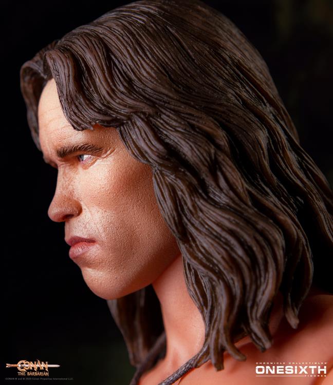 Conan the Barbarian Conan 1/6 Scale Figure Gallery Image 9