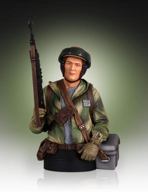 Star Wars Rebel Endor Trooper Collectible Mini Bust Gallery Image 3