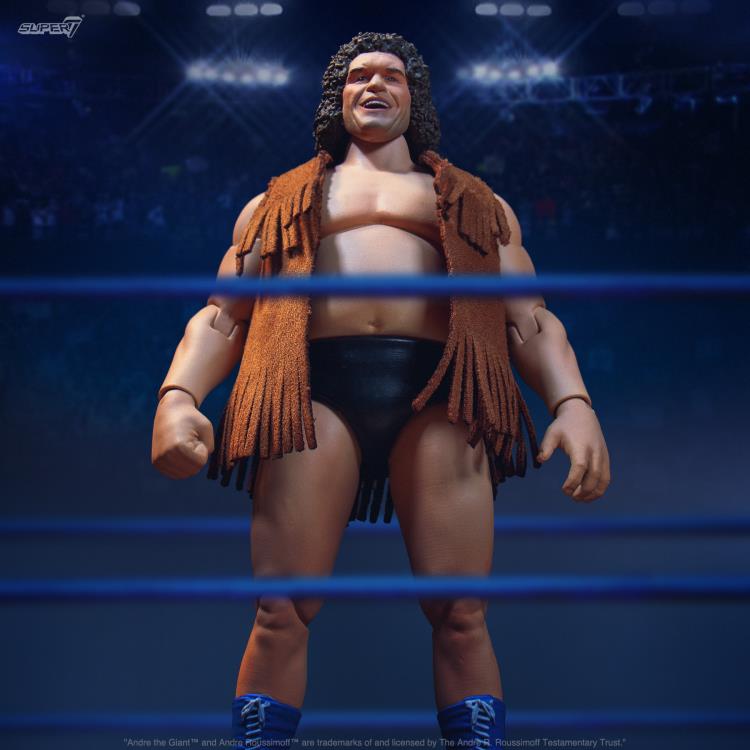 Andre the Giant ULTIMATES! Figure Gallery Image 3