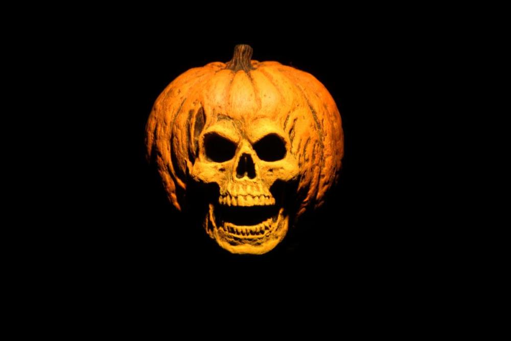 Halloween 2 Doctor Loomis & Laurie Strode Two-Pack Gallery Image 9