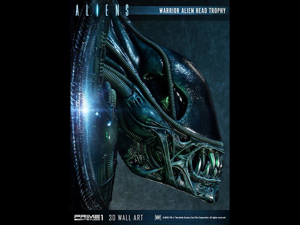 Aliens Alien Warrior Head Trophy 3D Wall Art Sculpture Gallery Image 9