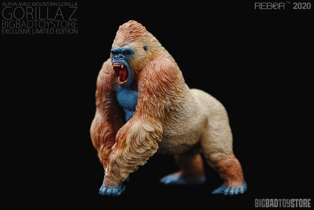 Alpha Male Mountain Gorilla 