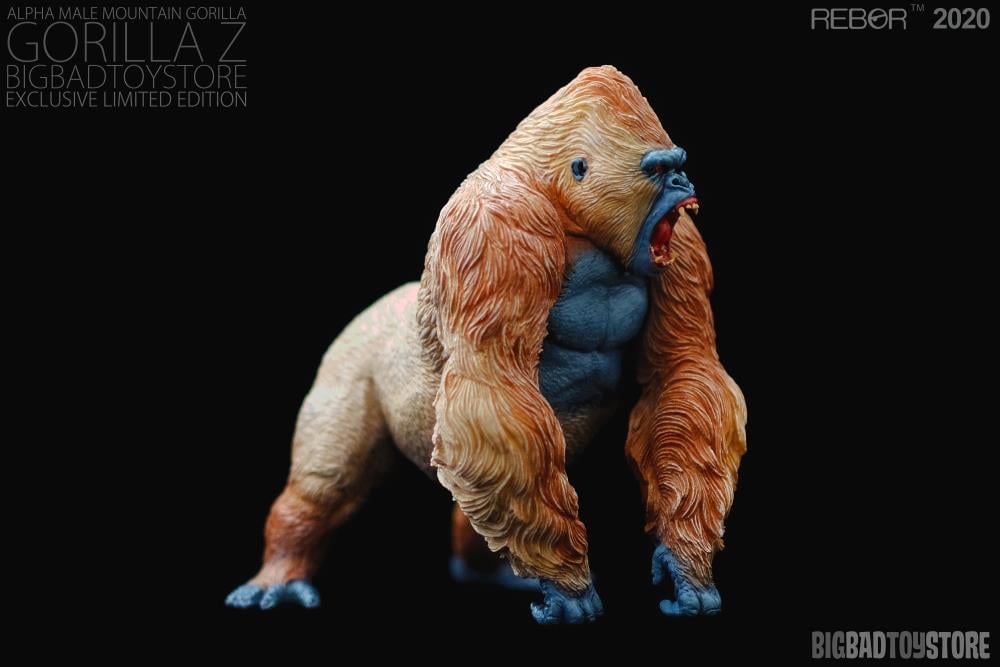 Alpha Male Mountain Gorilla 