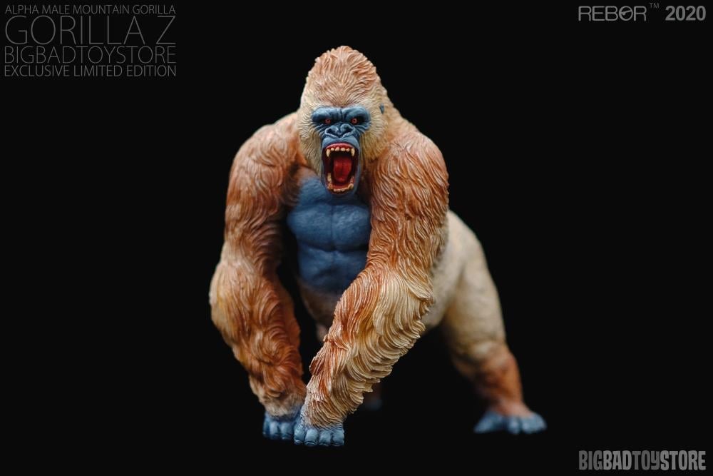 Alpha Male Mountain Gorilla 