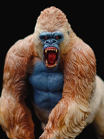 Alpha Male Mountain Gorilla 