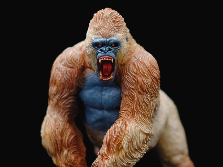 Alpha Male Mountain Gorilla 