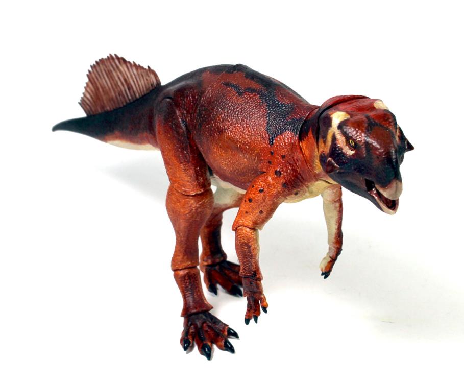 Beasts of the Mesozoic Ceratopsian Series Psittacosaurus mongoliensis 1/6 Scale Figure Gallery Image 10