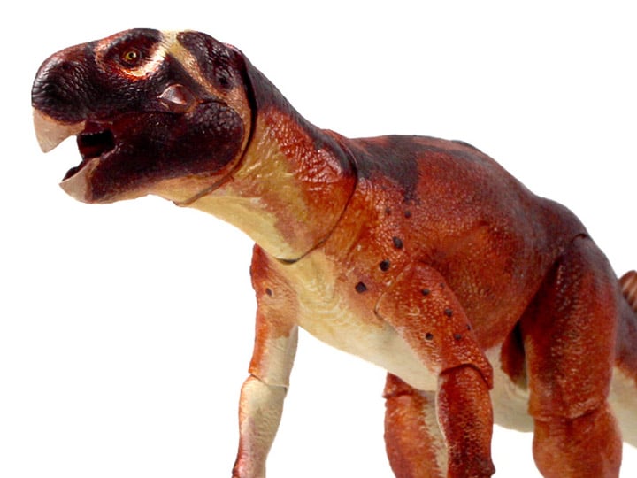 Beasts of the Mesozoic Ceratopsian Series Psittacosaurus mongoliensis 1/6 Scale Figure Gallery Image 1