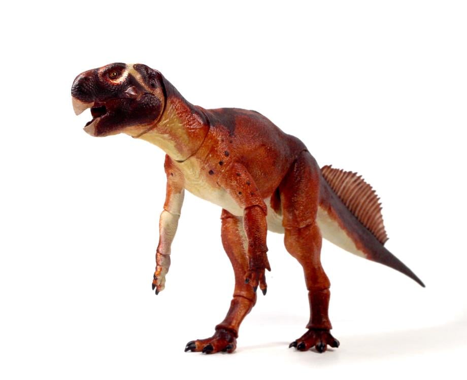 Beasts of the Mesozoic Ceratopsian Series Psittacosaurus mongoliensis 1/6 Scale Figure Gallery Image 3