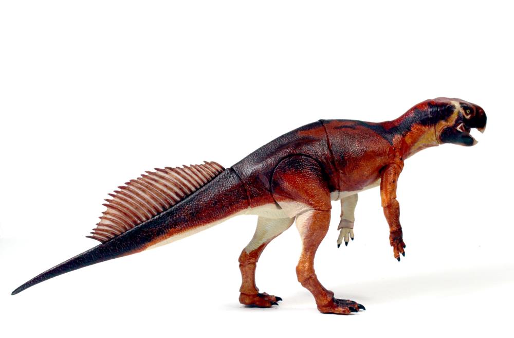 Beasts of the Mesozoic Ceratopsian Series Psittacosaurus mongoliensis 1/6 Scale Figure Gallery Image 9