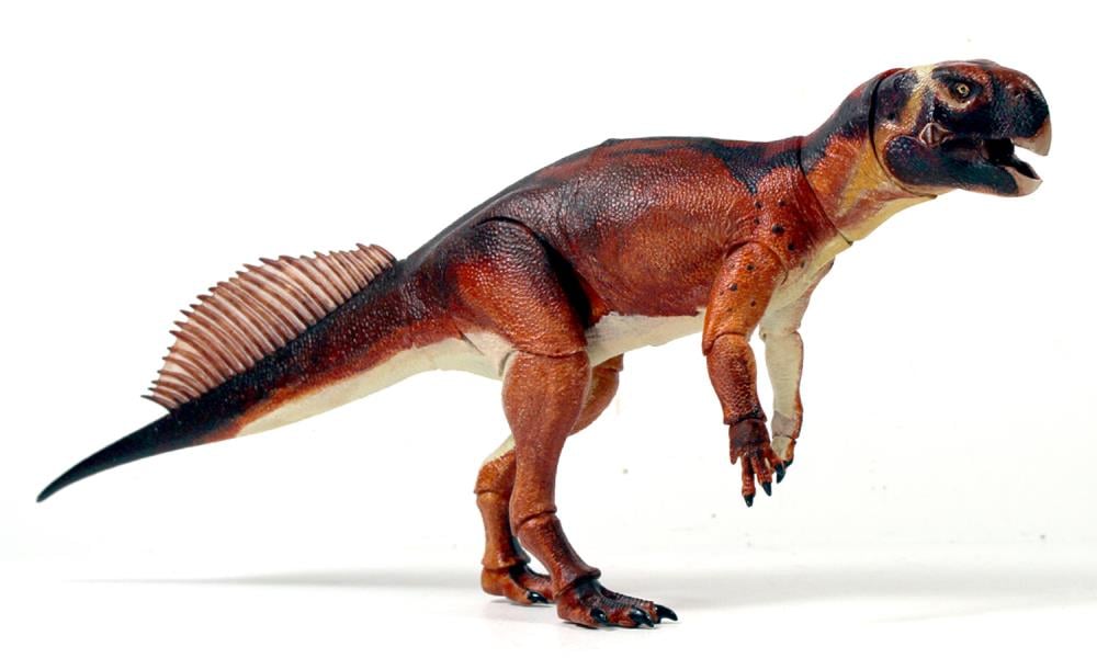 Beasts of the Mesozoic Ceratopsian Series Psittacosaurus mongoliensis 1/6 Scale Figure Gallery Image 7