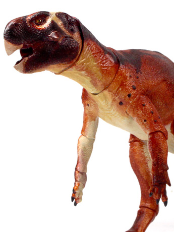Beasts of the Mesozoic Ceratopsian Series Psittacosaurus mongoliensis 1/6 Scale Figure Gallery Image 2