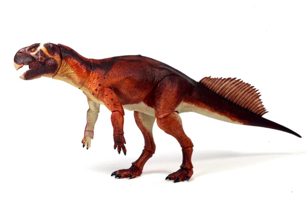 Beasts of the Mesozoic Ceratopsian Series Psittacosaurus mongoliensis 1/6 Scale Figure Gallery Image 5