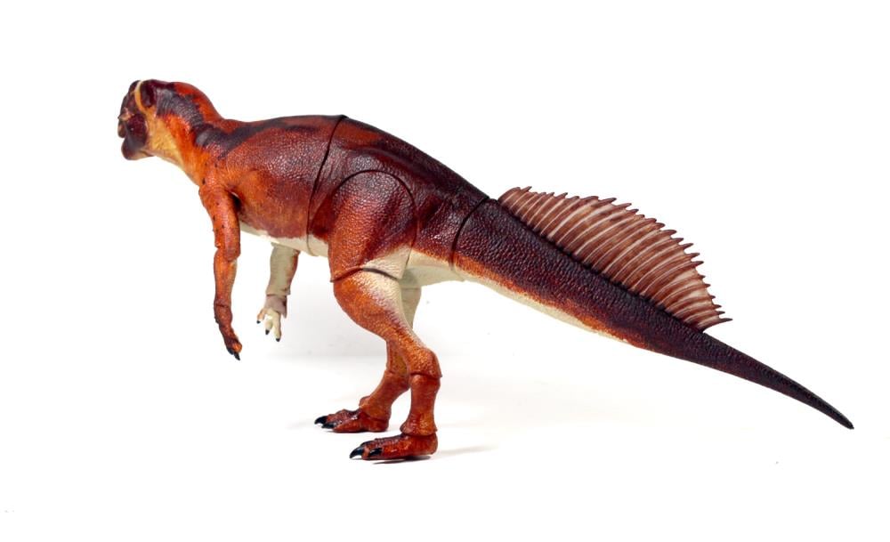 Beasts of the Mesozoic Ceratopsian Series Psittacosaurus mongoliensis 1/6 Scale Figure Gallery Image 8