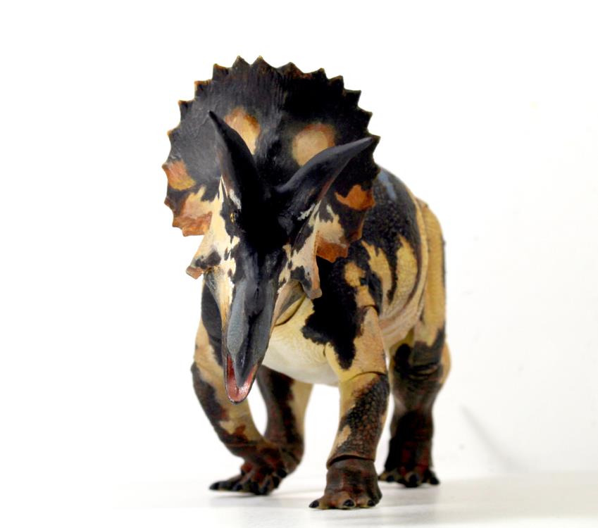 Beasts of the Mesozoic Ceratopsian Series Triceratops horridus (sub-adult) 1/18 Scale Figure Gallery Image 5