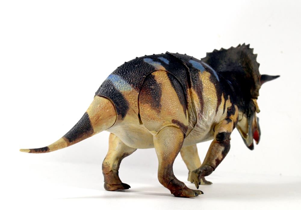 Beasts of the Mesozoic Ceratopsian Series Triceratops horridus (sub-adult) 1/18 Scale Figure Gallery Image 9