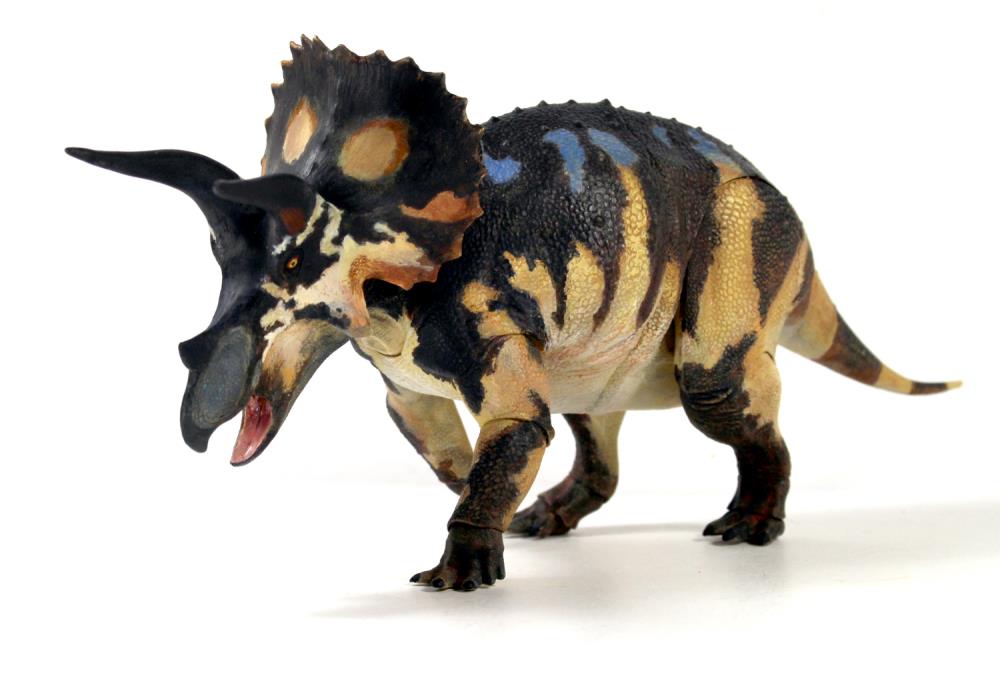 Beasts of the Mesozoic Ceratopsian Series Triceratops horridus (sub-adult) 1/18 Scale Figure Gallery Image 6