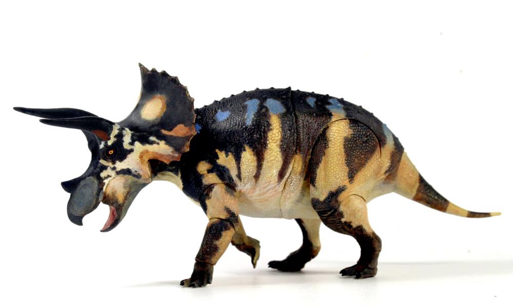Beasts of the Mesozoic Ceratopsian Series Triceratops horridus (sub-adult) 1/18 Scale Figure Gallery Image 7