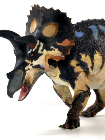 Beasts of the Mesozoic Ceratopsian Series Triceratops horridus (sub-adult) 1/18 Scale Figure Gallery Image 2