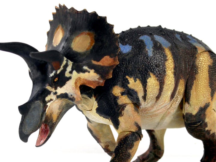 Beasts of the Mesozoic Ceratopsian Series Triceratops horridus (sub-adult) 1/18 Scale Figure Gallery Image 1