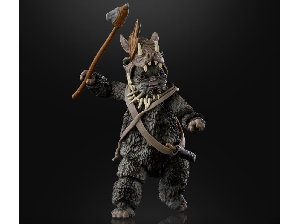 Star Wars: The Black Series 6" Teebo (Return of the Jedi) Gallery Image 3