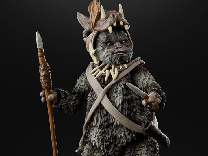 Star Wars: The Black Series 6" Teebo (Return of the Jedi) Gallery Image 1
