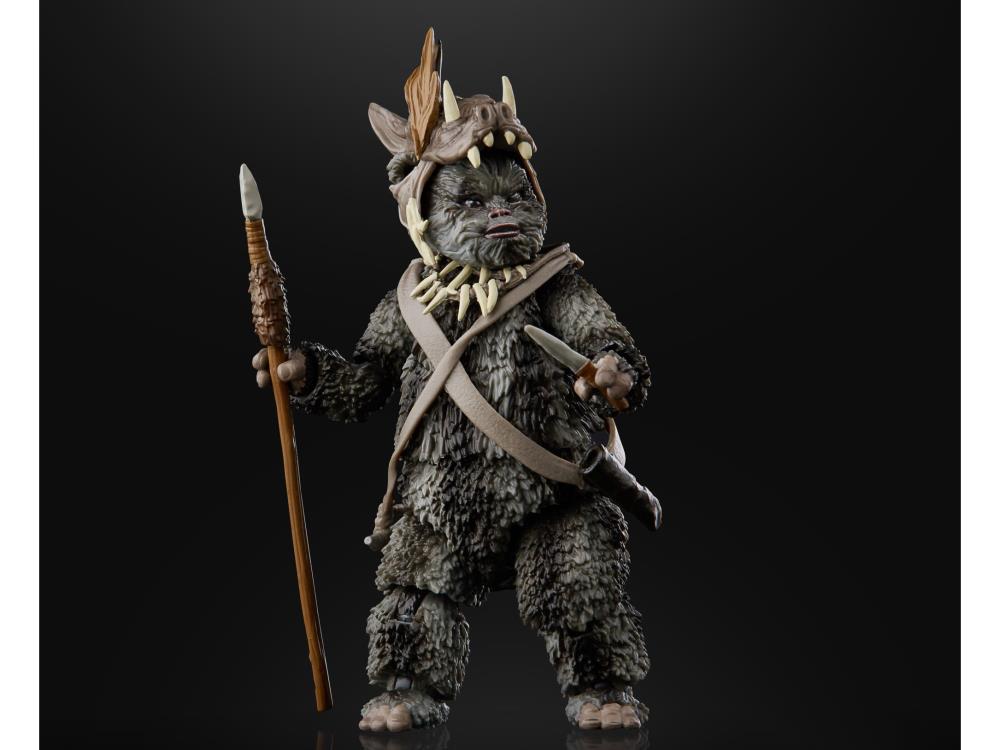 Star Wars: The Black Series 6" Teebo (Return of the Jedi) Gallery Image 4