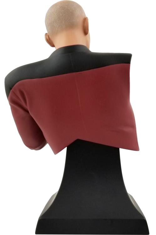 Star Trek Captain Jean-Luc Picard (Facepalm) Bust SDCC 2020 Exclusive Gallery Image 6