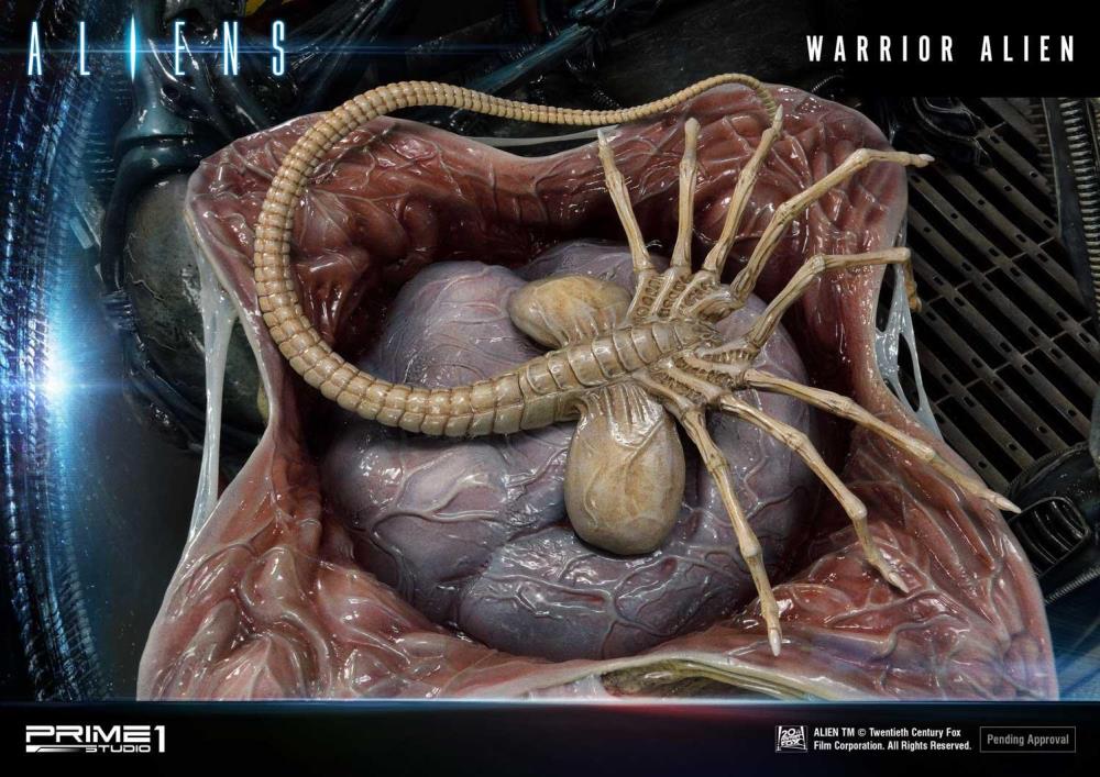 Aliens Premium Masterline Warrior Alien Statue Gallery Image 12