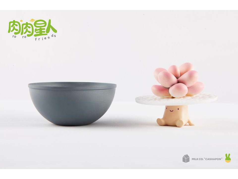 Succulent Plant Alien World Designer Series Box of 6 Figures Gallery Image 5