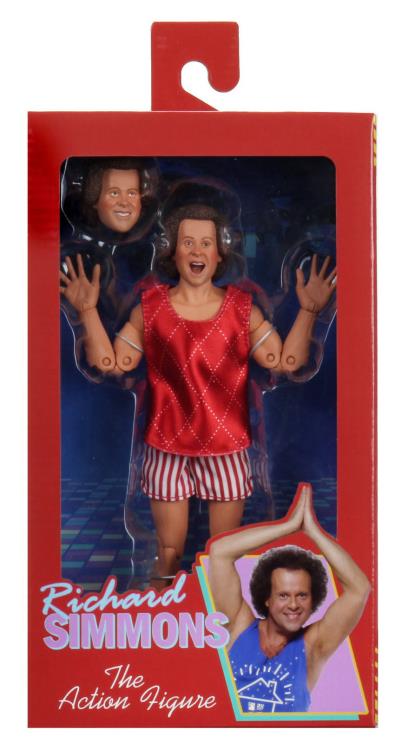 Richard Simmons Figure Gallery Image 8