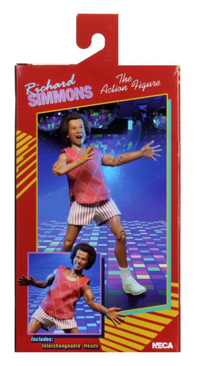 Richard Simmons Figure Gallery Image 11