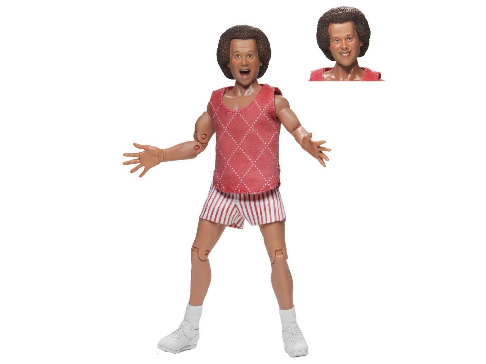 Richard Simmons Figure Gallery Image 7