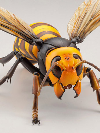 Revoltech RevoGeo Vespa Mandarinia (Asian Giant Hornet) Gallery Image 2