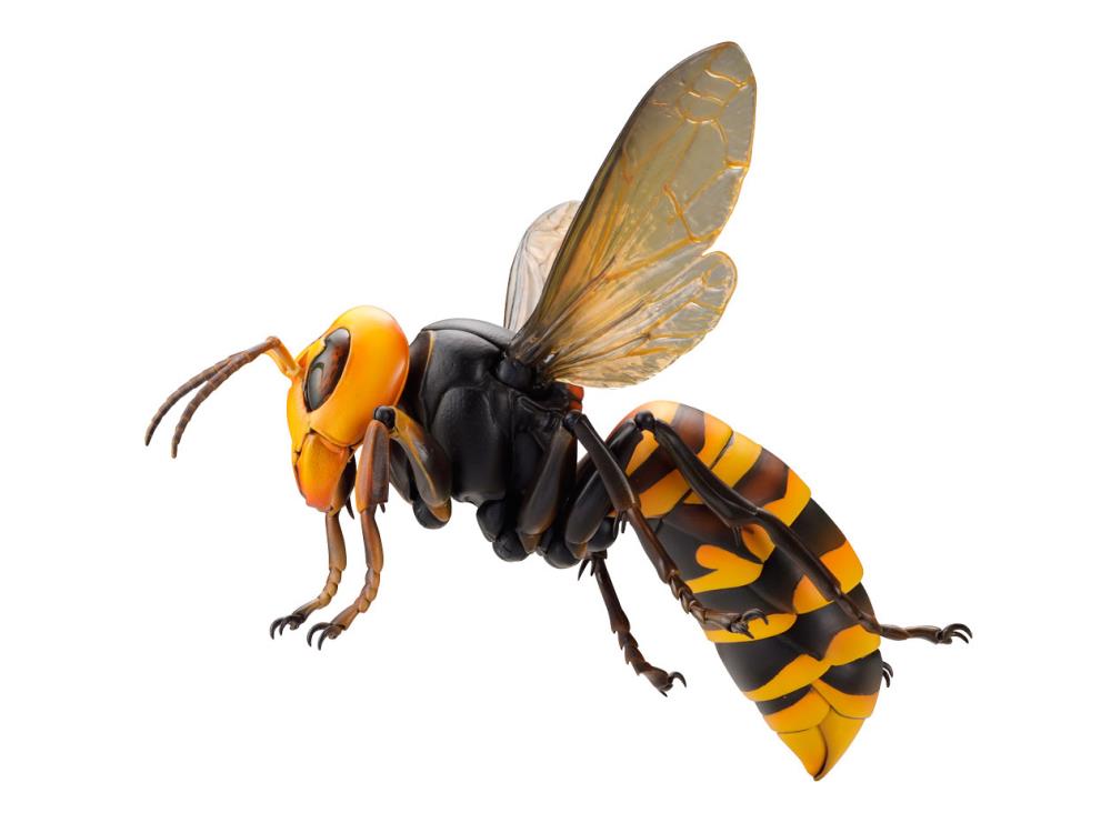 Revoltech RevoGeo Vespa Mandarinia (Asian Giant Hornet) Gallery Image 14