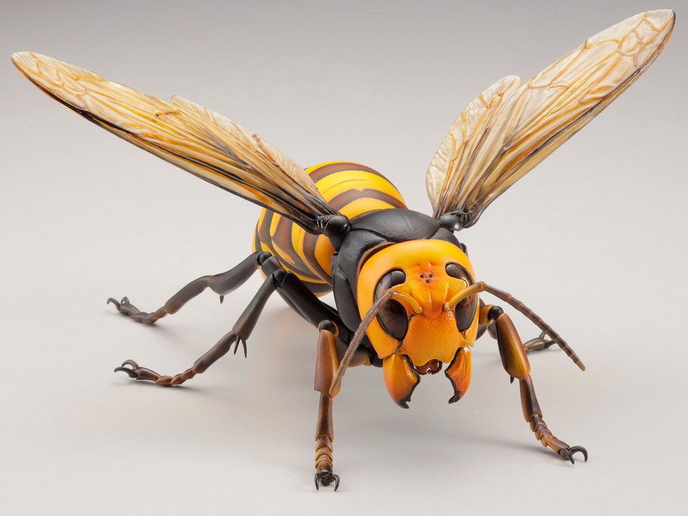 Revoltech RevoGeo Vespa Mandarinia (Asian Giant Hornet) Gallery Image 9