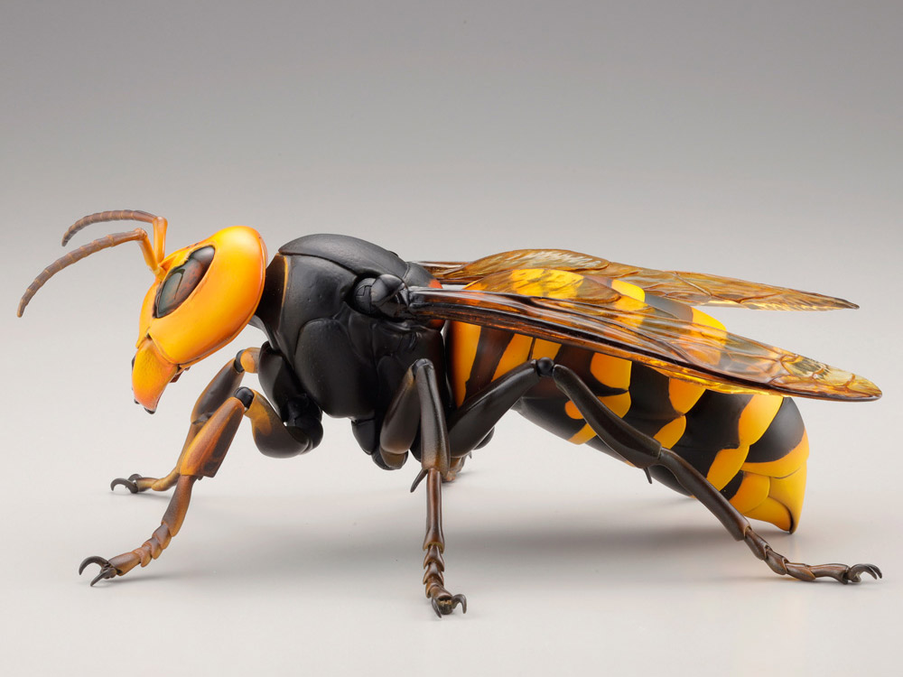 Revoltech RevoGeo Vespa Mandarinia (Asian Giant Hornet) Gallery Image 8