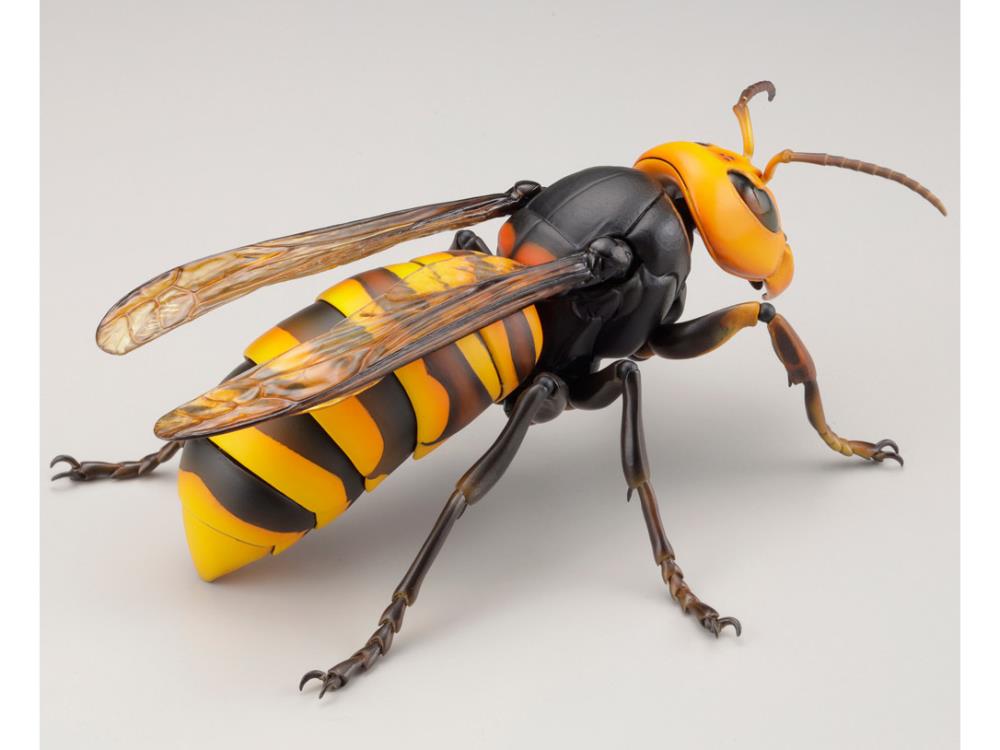 Revoltech RevoGeo Vespa Mandarinia (Asian Giant Hornet) Gallery Image 7