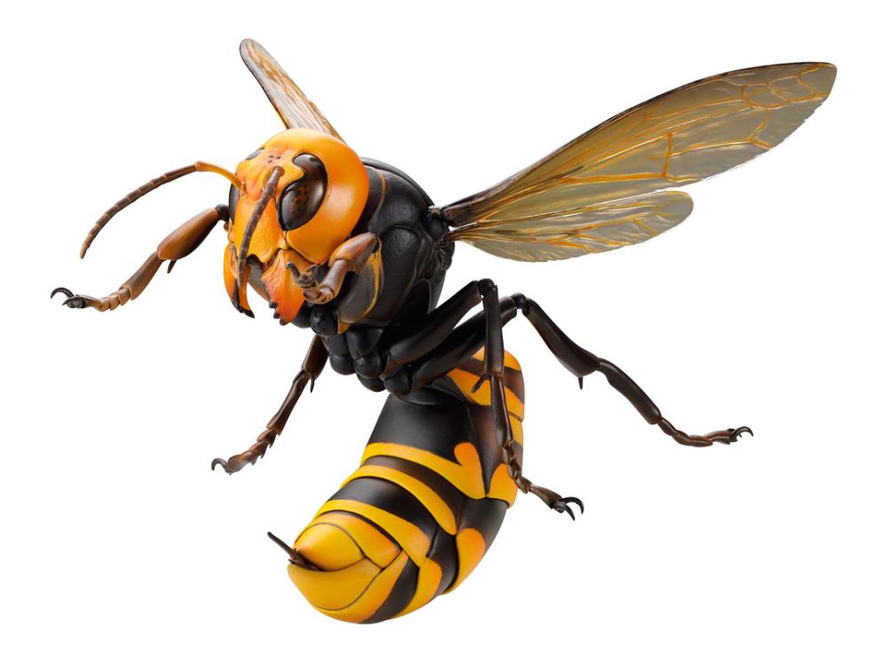 Revoltech RevoGeo Vespa Mandarinia (Asian Giant Hornet) Gallery Image 15