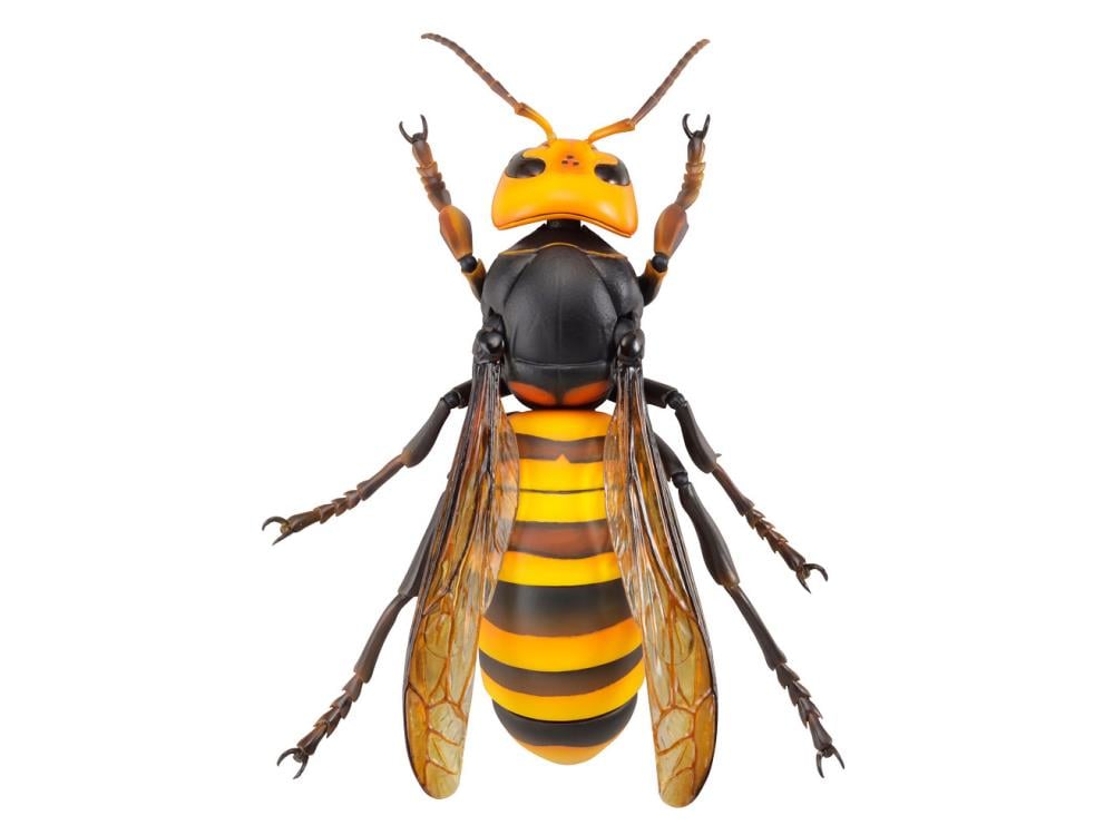 Revoltech RevoGeo Vespa Mandarinia (Asian Giant Hornet) Gallery Image 4