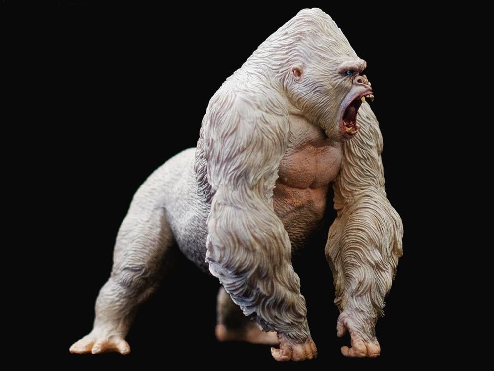 Alpha Male Mountain Gorilla 