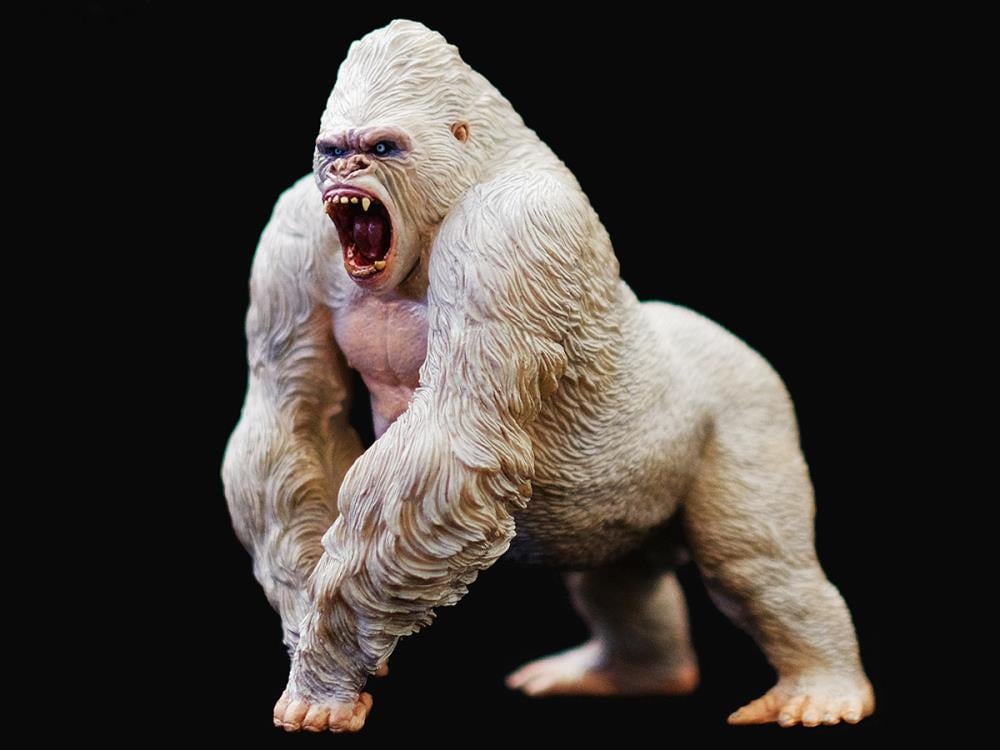 Alpha Male Mountain Gorilla 