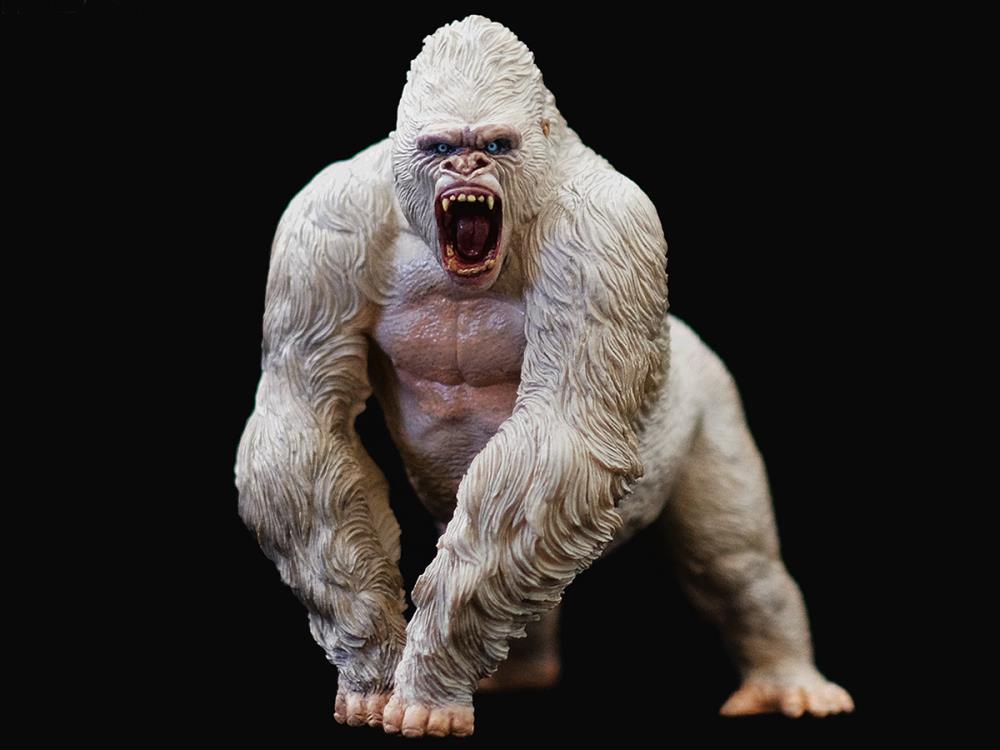 Alpha Male Mountain Gorilla 