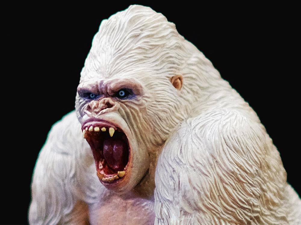 Alpha Male Mountain Gorilla 