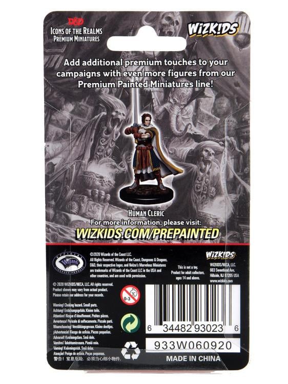 Dungeons & Dragons Icons of the Realms Human Cleric (Male) Premium Painted Figure Gallery Image 5