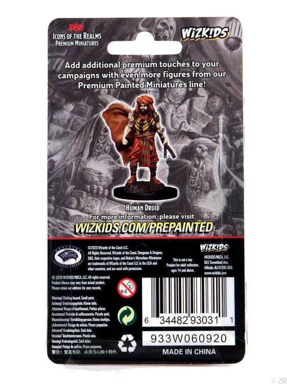 Dungeons & Dragons Icons of the Realms Human Druid (Male) Premium Painted Figure Gallery Image 6