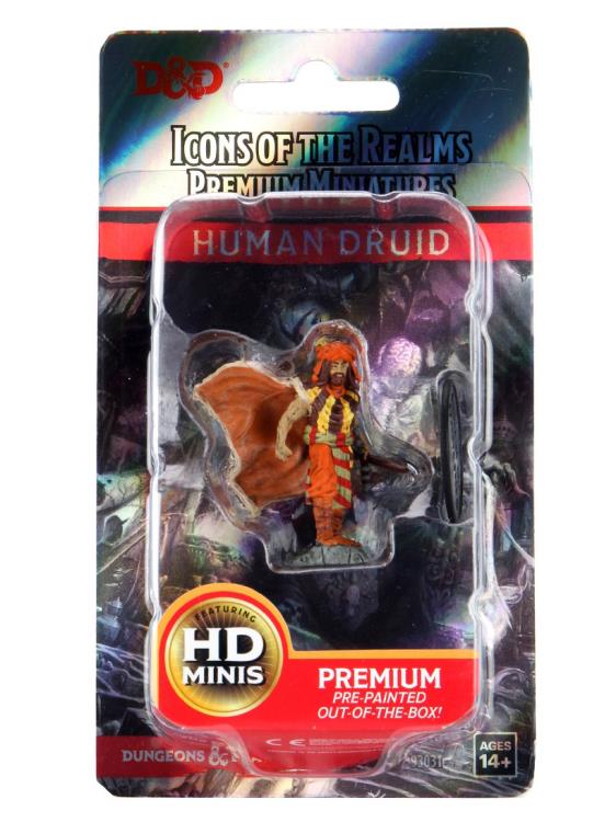 Dungeons & Dragons Icons of the Realms Human Druid (Male) Premium Painted Figure Gallery Image 5