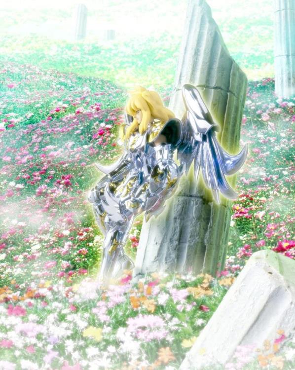 Saint Seiya Myth Cloth Cygnus Hyoga Exclusive Gallery Image 8